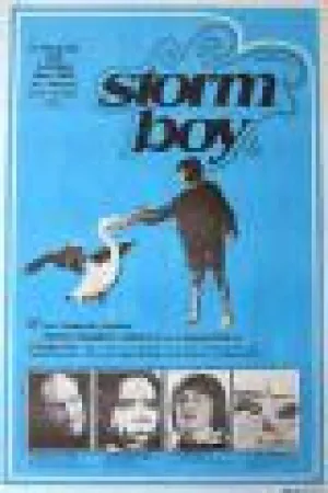 Штормовой мальчик / Мальчик и океан (1976)