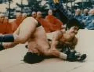 Джит Кун До Брюса Ли (1995)