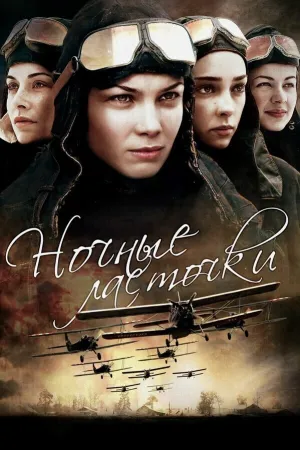 Ночные ласточки (сериал 2012)