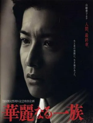 Блистательное семейство (сериал 2007)