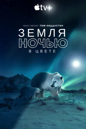 Земля ночью в цвете (сериал 2020)
