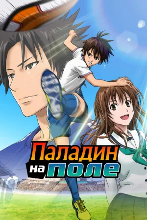 Паладин на поле (сериал 2012)