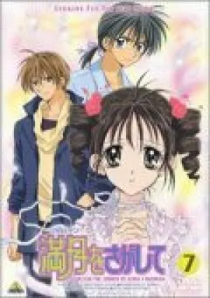 В поисках полной луны (сериал 2002)