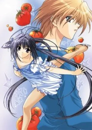 Фигурный калейдоскоп (сериал 2005)