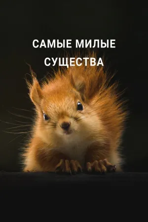 Самые милые существа (2021)