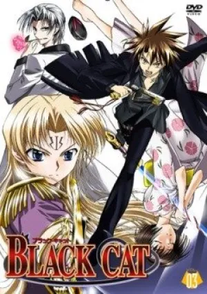 Черный кот (сериал 2005)