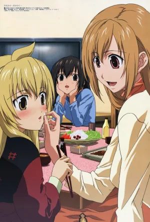 Сёстры Минами 2 (сериал 2008)