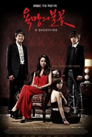 Пламя желаний (сериал 2010)