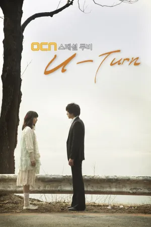 Разворот (сериал 2008)