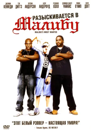 Разыскиваются в Малибу (2003)