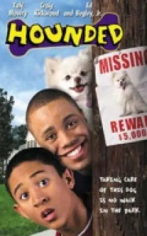 Загнанный (2001)