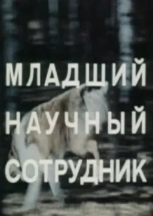 Младший научный сотрудник (1978)