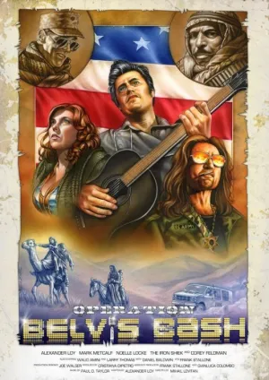 Операция «Белвис» (2013)