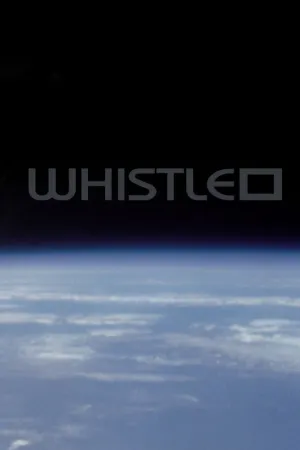 Свист (2002)