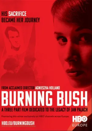 Неопалимая купина (сериал 2013)