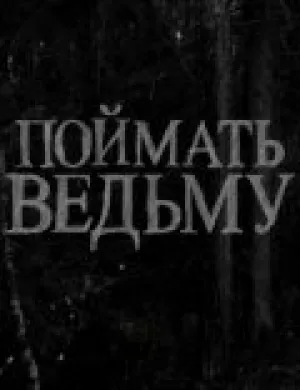 Поймать ведьму (2008)