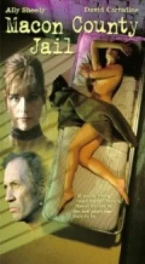 Тюрьма округа Мэкон (1997)