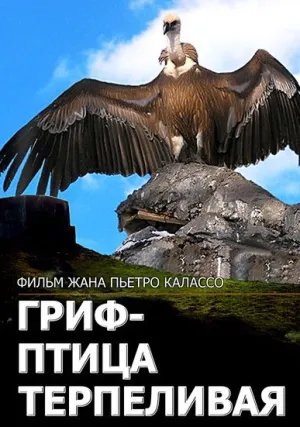 Гриф – птица терпеливая (1991)