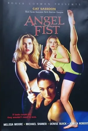 Кулак ангела (1993)