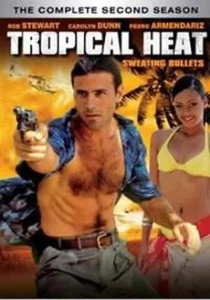 Из записок частного детектива (1992)