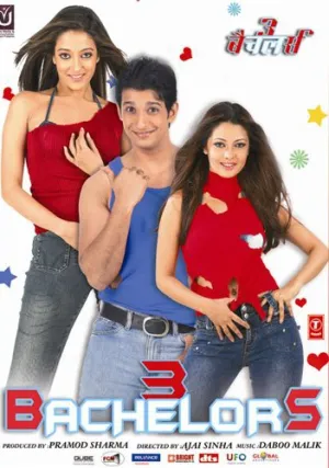 Три холостяка (2012)