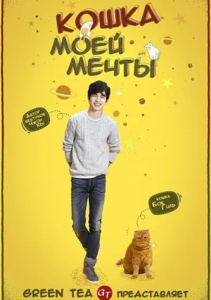 Кошка моей мечты (сериал 2015)