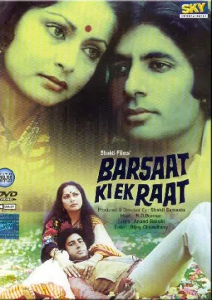 Одна дождливая ночь (1981)