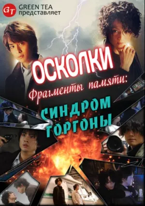 Осколки: Фрагменты памяти (2012)