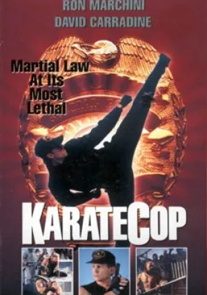 Полицейский-каратист (1991)