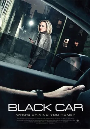 Роковая поездка (2016)