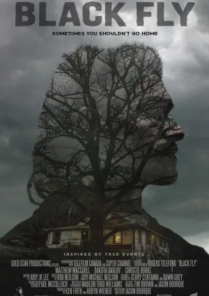 Черные птицы (2014)