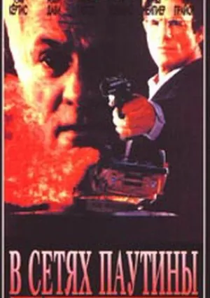В сетях паутины (1992)