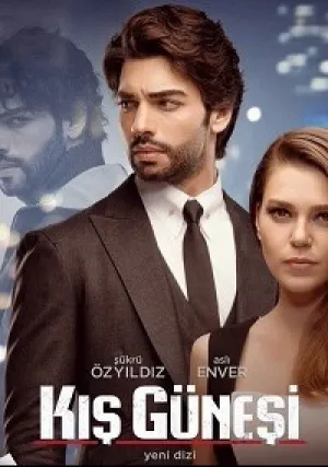 Зимнее солнце (сериал 2016)