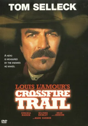 Под перекрестным огнем (2001)