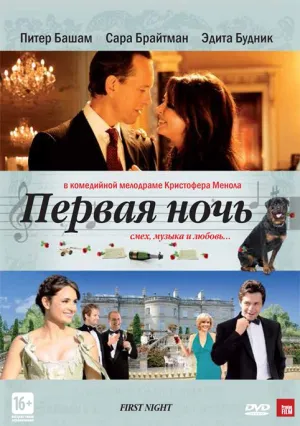 Первая ночь (2010)