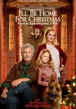 Я буду дома к Рождеству (2016)