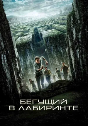 Бегущий в лабиринте (2014)