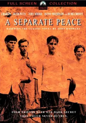 Сепаратный мир (2004)