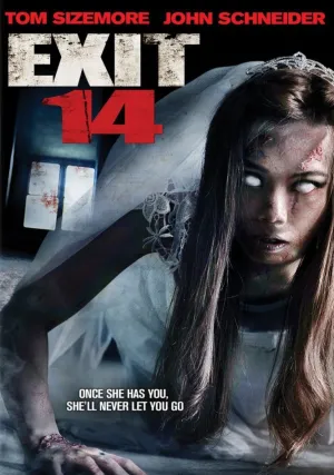 Четырнадцатый выезд (2016)