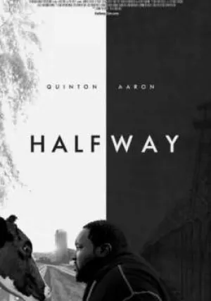 На полпути (2016)