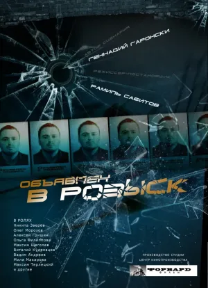 Объявлен в розыск (сериал 2010)