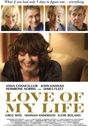 Любовь всей моей жизни (2017)