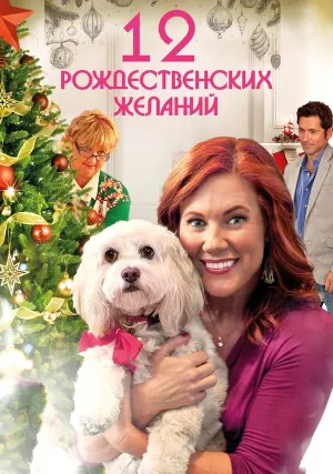 12 Рождественских желаний (2011)