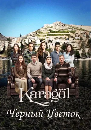 Чёрный цветок (сериал 2013)