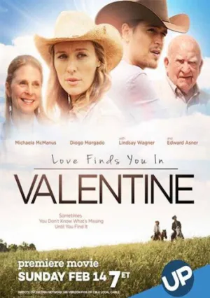Влюбленные в Валентайне (2016)