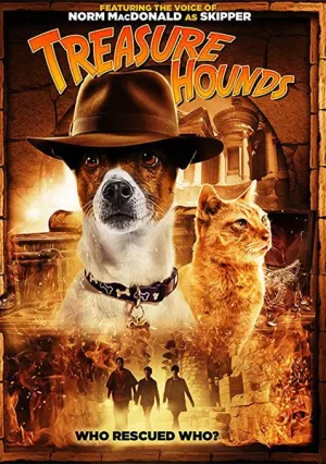 Дедушкины сокровища (2017)