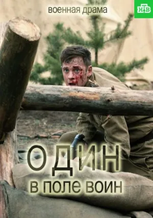 Один в поле воин (сериал 2018)