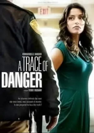 Следы опасности (2010)