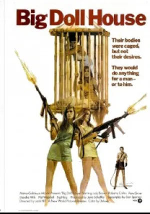 Дом большой куклы (1971)