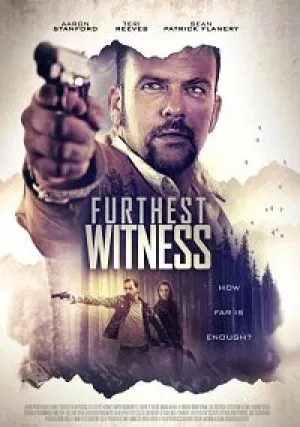 Последний свидетель (2017)